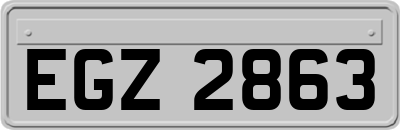 EGZ2863