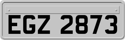 EGZ2873