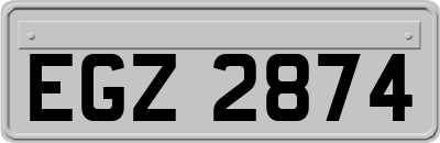 EGZ2874