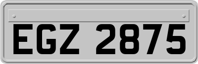EGZ2875