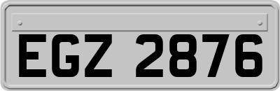 EGZ2876