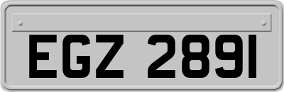 EGZ2891