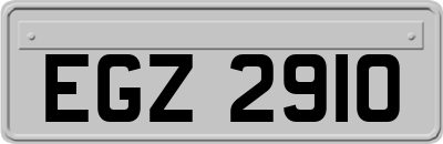 EGZ2910