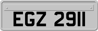 EGZ2911