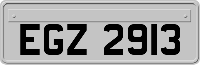 EGZ2913