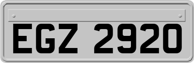 EGZ2920