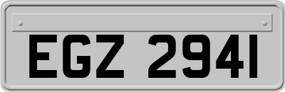 EGZ2941
