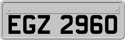 EGZ2960