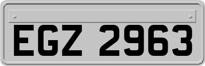 EGZ2963