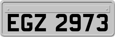 EGZ2973