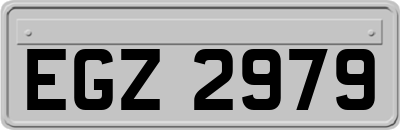 EGZ2979