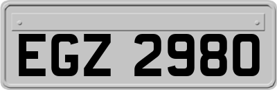 EGZ2980