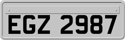 EGZ2987