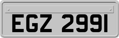 EGZ2991