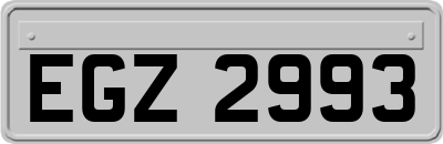 EGZ2993