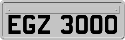 EGZ3000