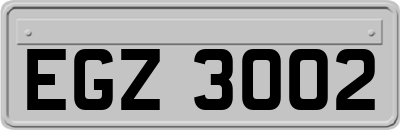 EGZ3002