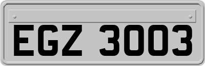 EGZ3003