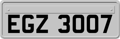 EGZ3007