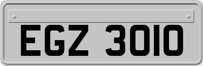 EGZ3010