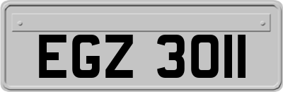 EGZ3011
