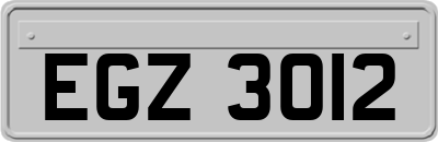EGZ3012