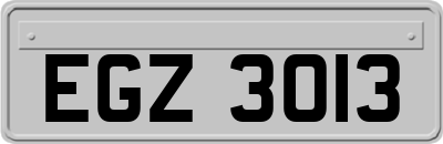 EGZ3013