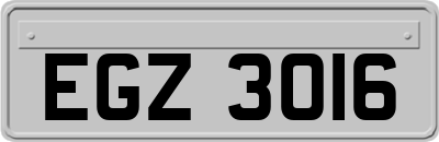 EGZ3016