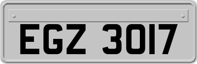 EGZ3017