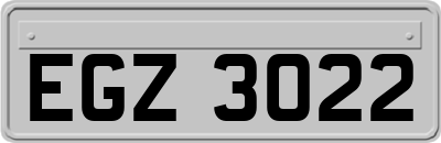 EGZ3022