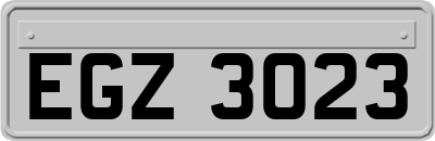EGZ3023