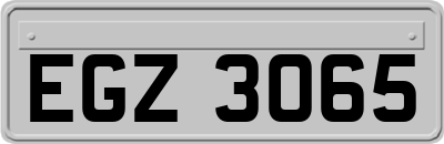 EGZ3065