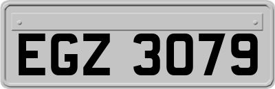 EGZ3079
