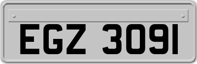 EGZ3091