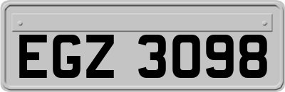 EGZ3098