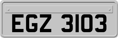 EGZ3103