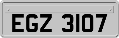 EGZ3107