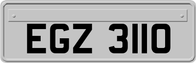 EGZ3110