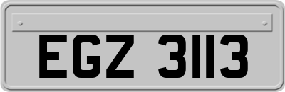 EGZ3113