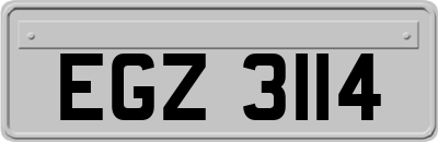 EGZ3114