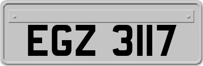 EGZ3117