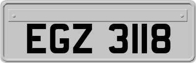 EGZ3118