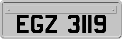 EGZ3119