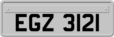 EGZ3121
