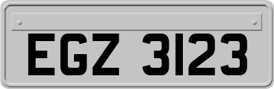 EGZ3123