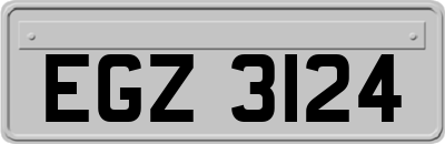 EGZ3124