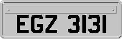 EGZ3131
