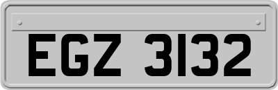 EGZ3132