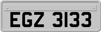 EGZ3133