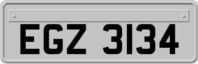 EGZ3134